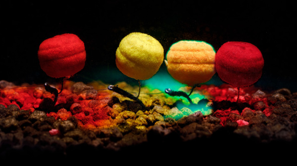 Smokee Boilie 11mm 2